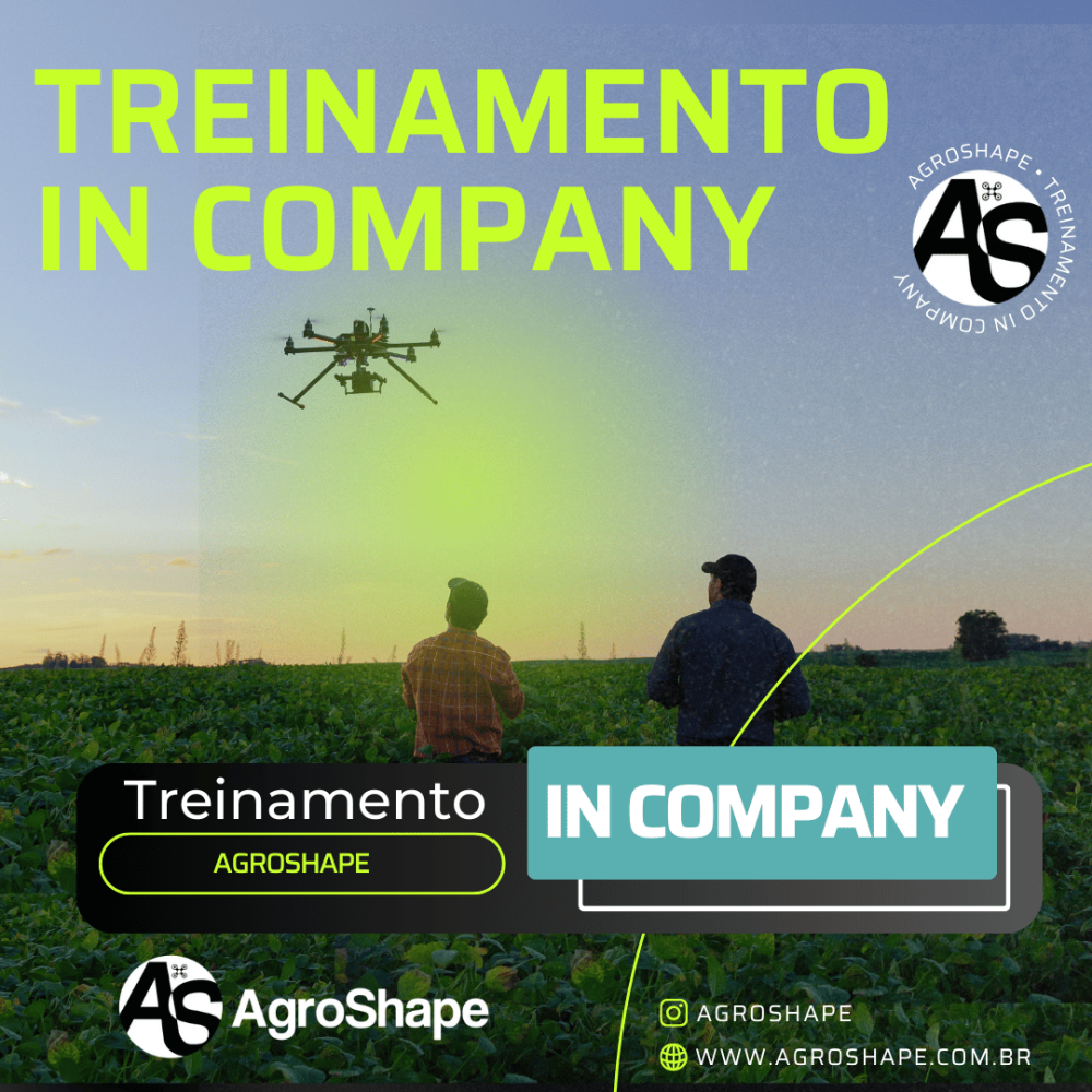 Treinamento In Company